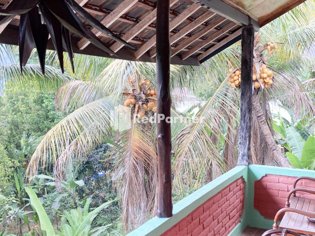 Taman Ayu Homestay Munduk Mitra Reddoorz Zewnętrze zdjęcie
