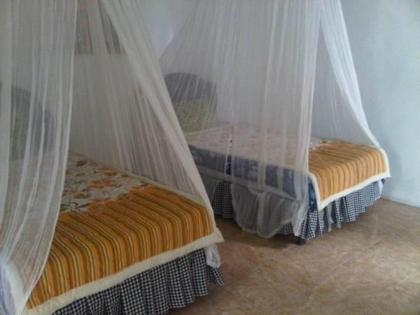 Taman Ayu Homestay Munduk Mitra Reddoorz Zewnętrze zdjęcie